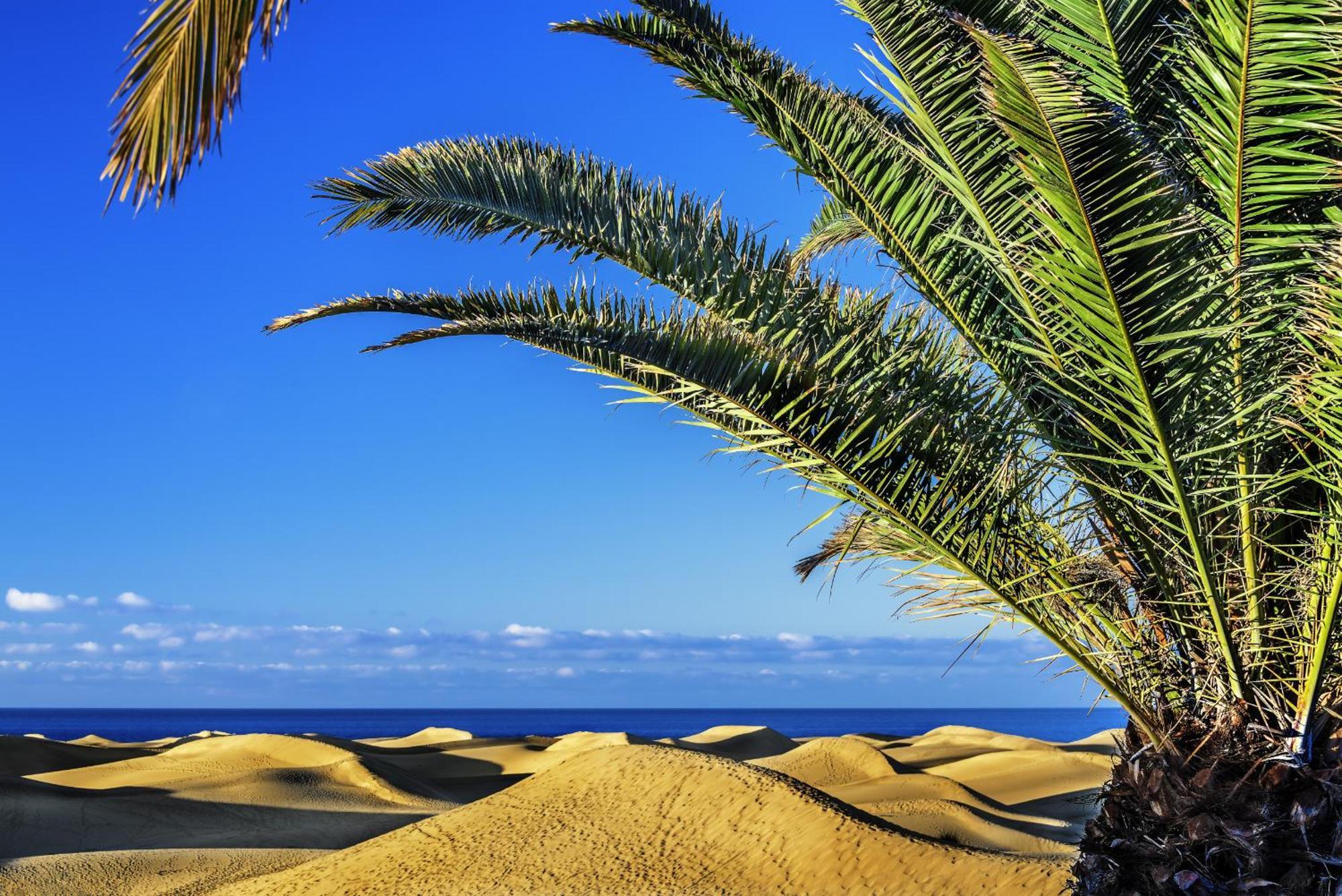 Chelsea Canteras By Canariasgetaway * Las Palmas de Gran Canaria